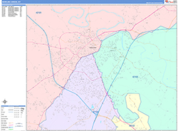 Bowling Green Wall Map Color Cast Style 2026